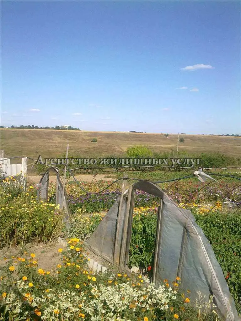 Будинок — Щербані