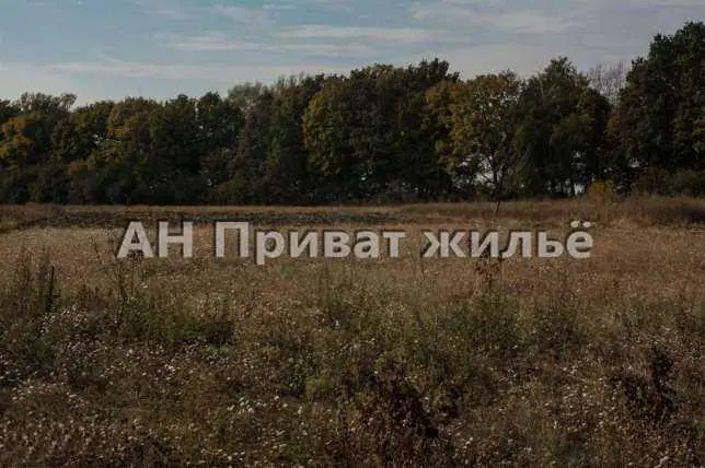 Ділянка