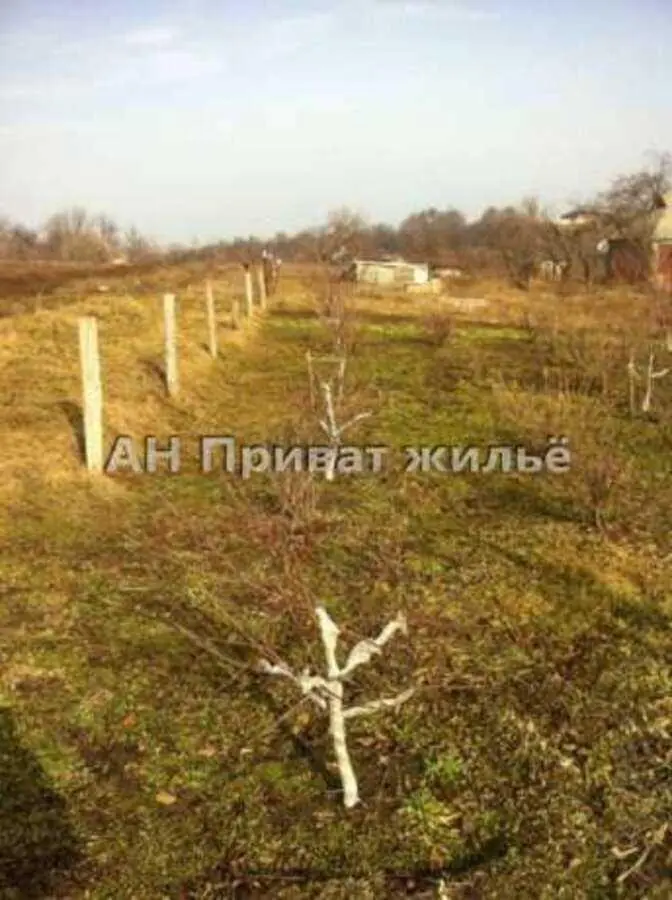 Ділянка — Шмиглі