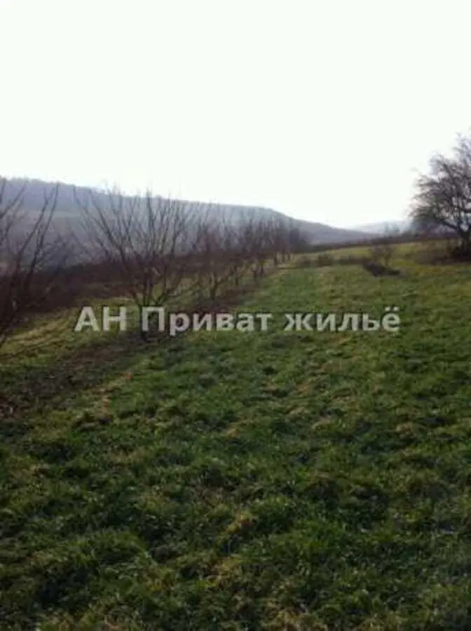 Ділянка — Шмиглі