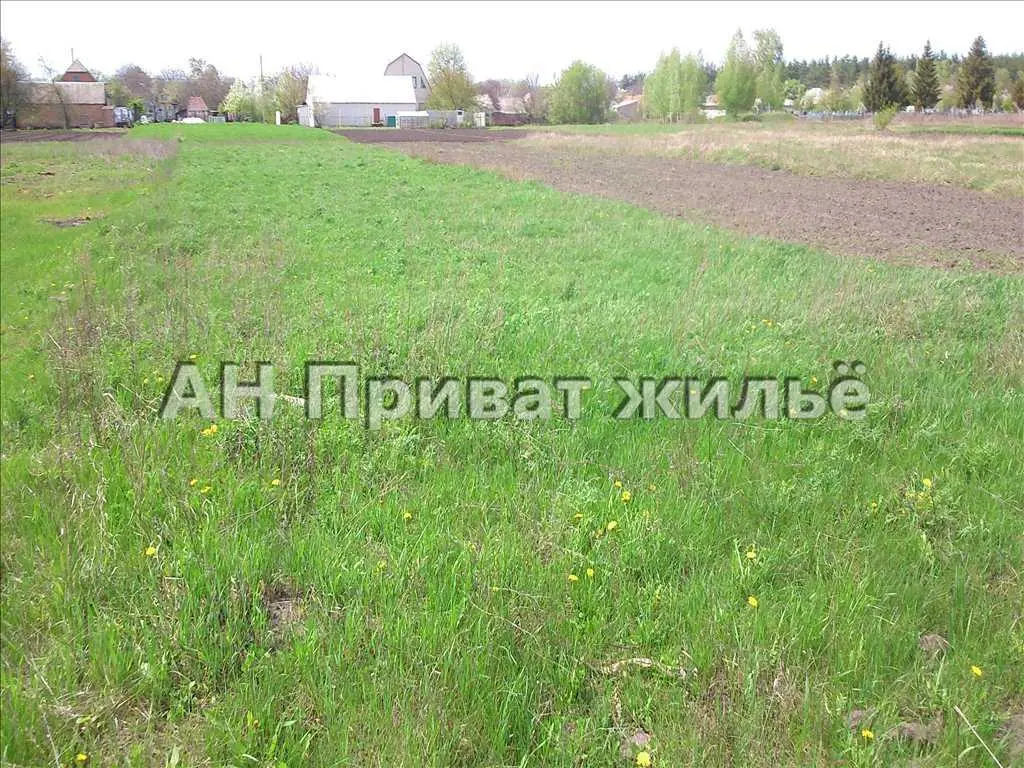 Ділянка