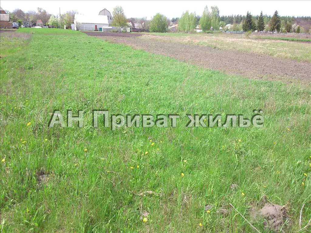 Ділянка