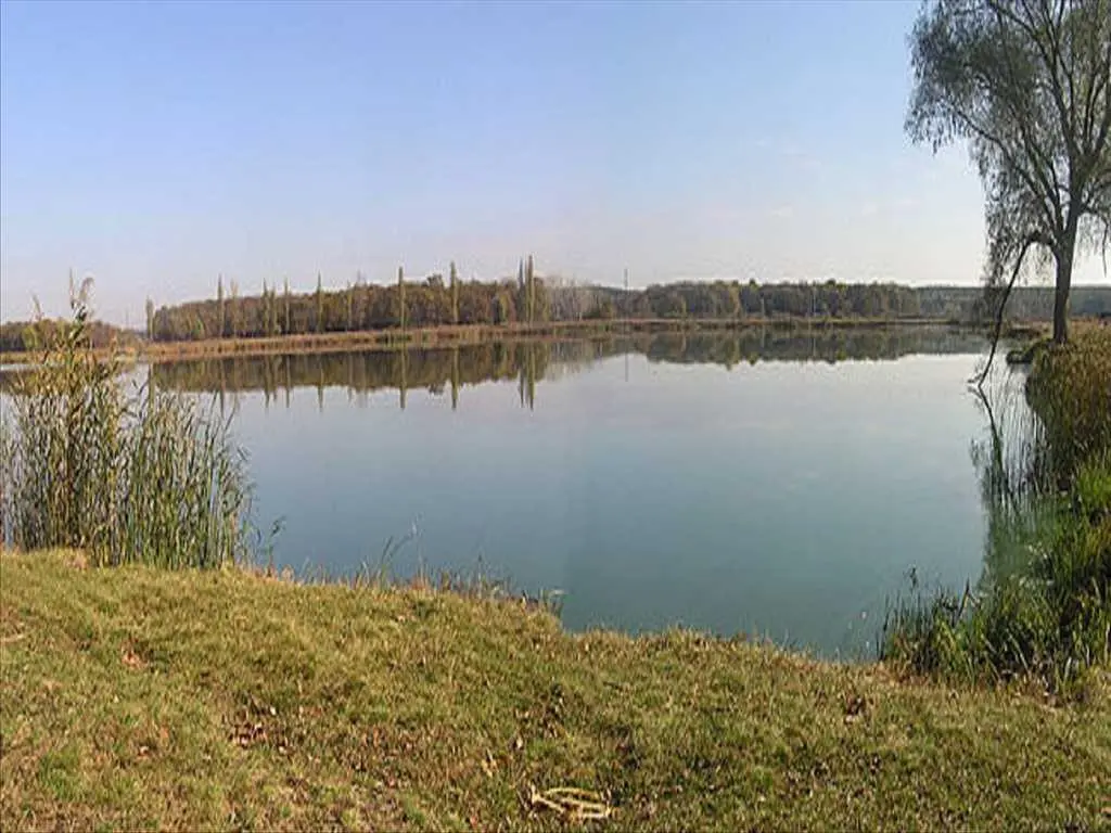 Ділянка