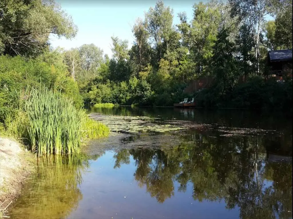 Ділянка — Петрівка