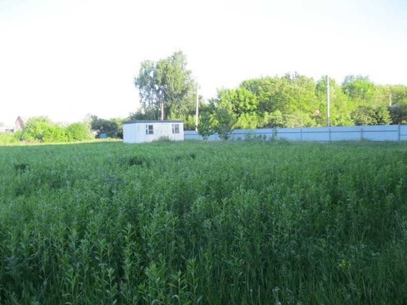 Ділянка