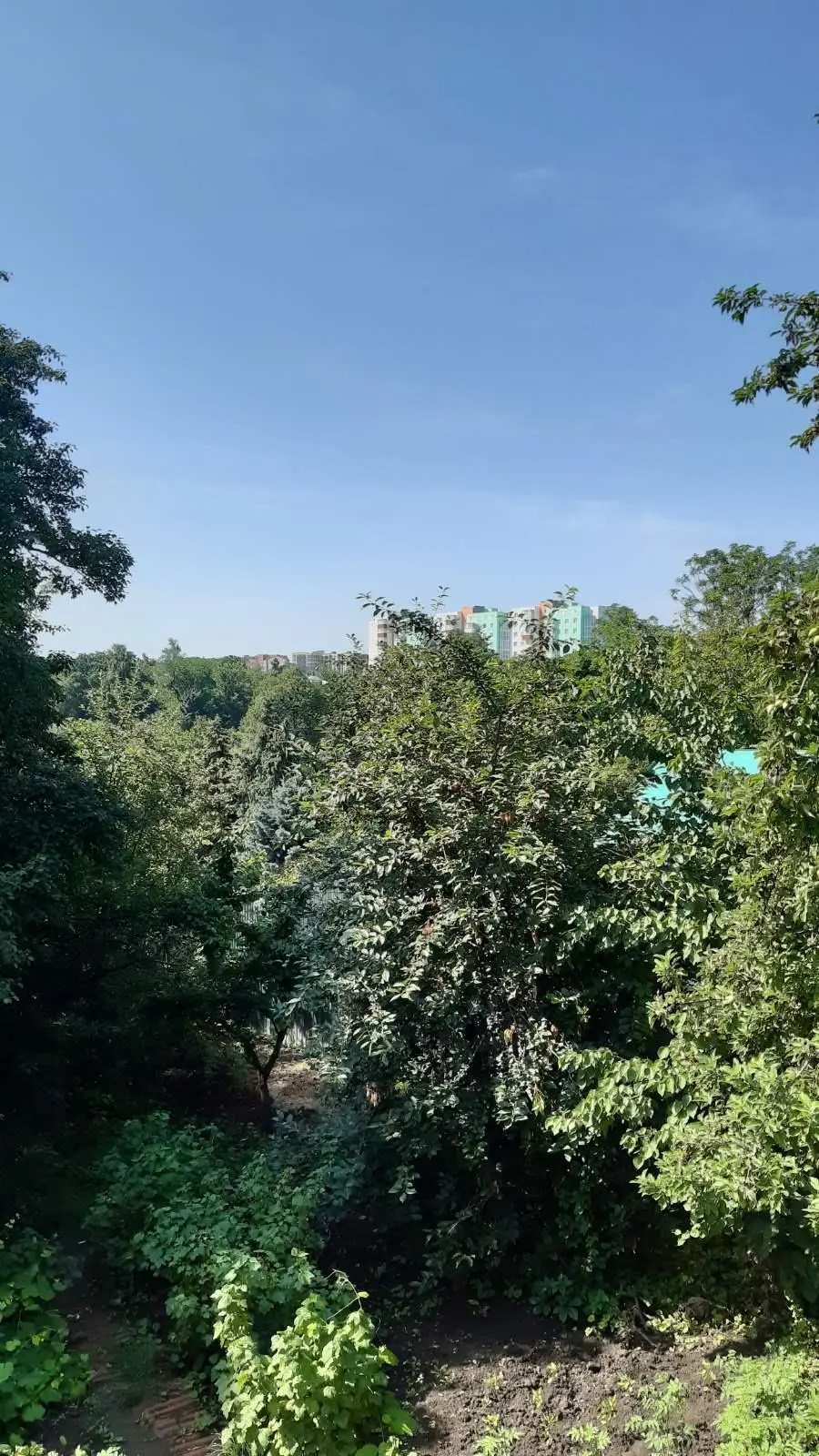 Будинок — Центр