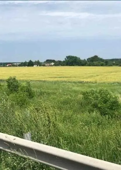 Ділянка