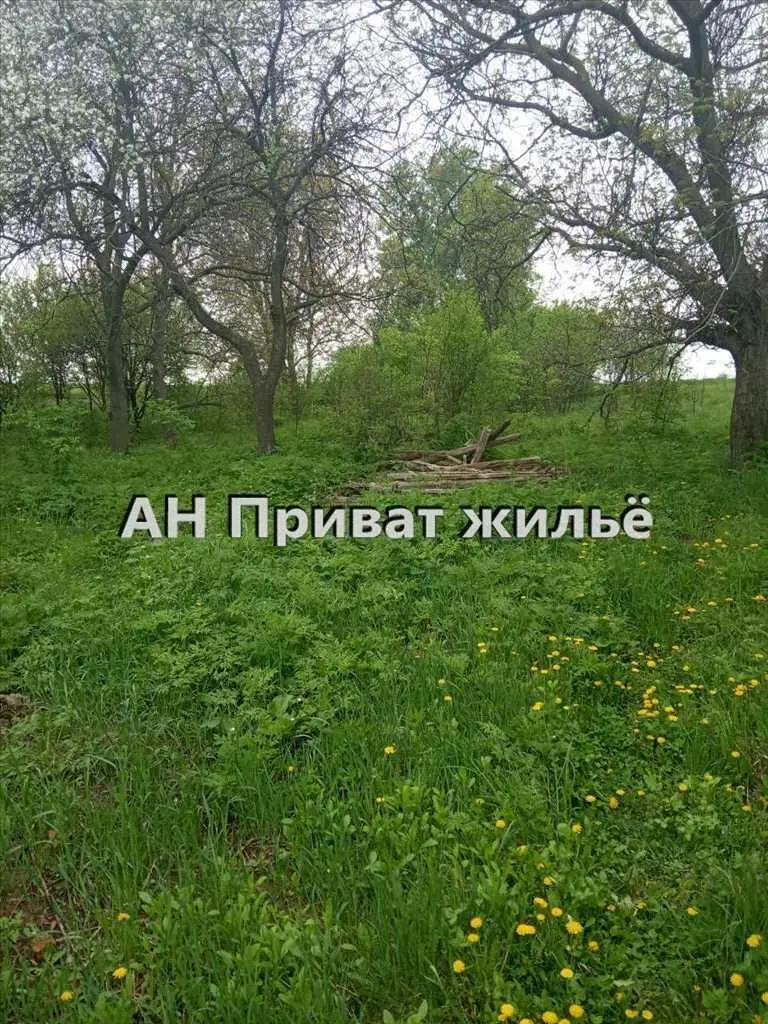 Ділянка