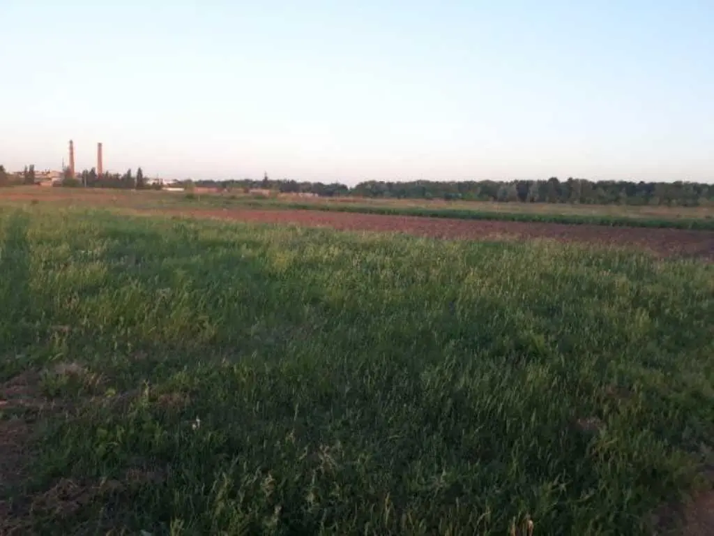 Ділянка