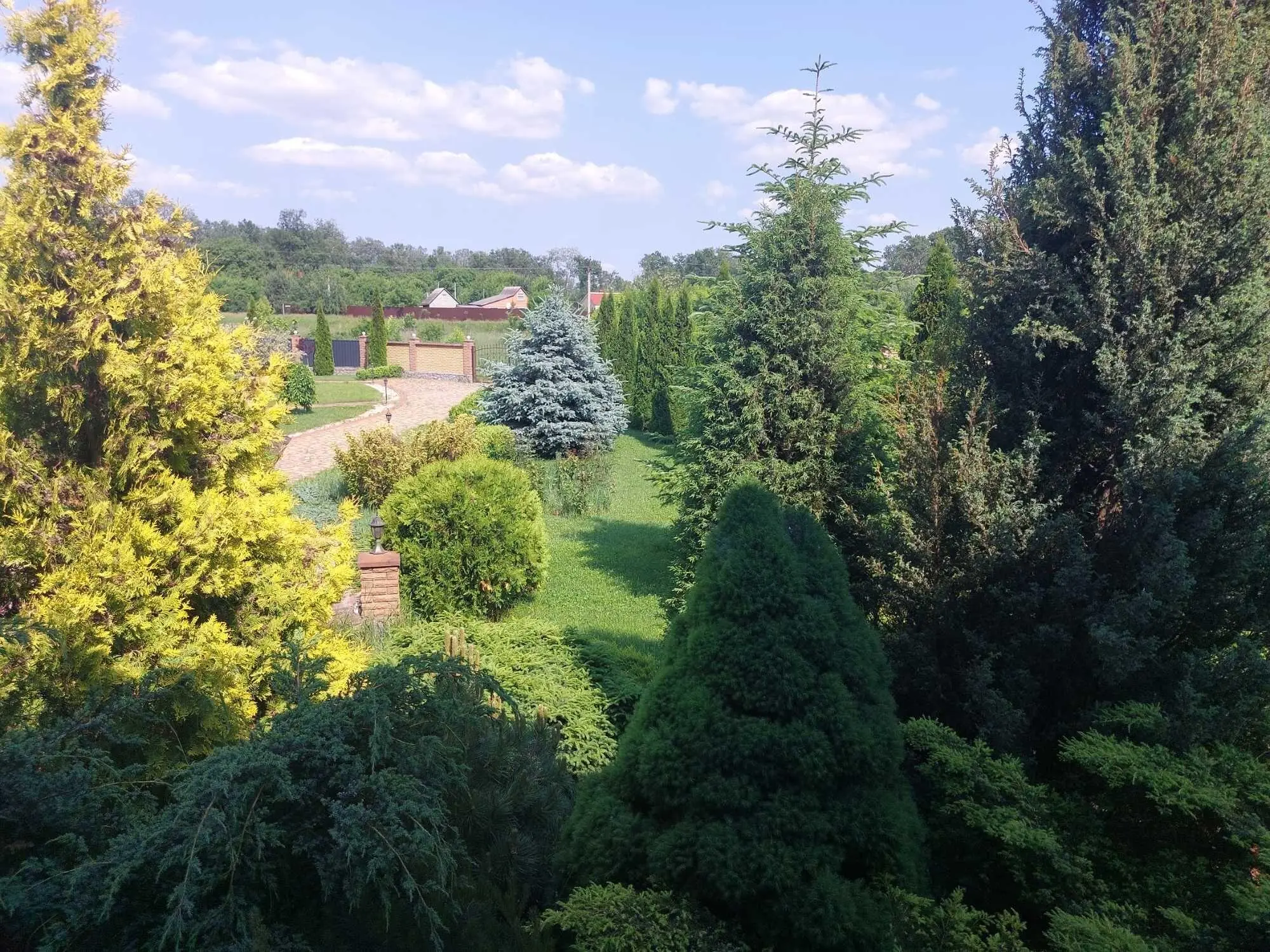 Будинок — Петрівка