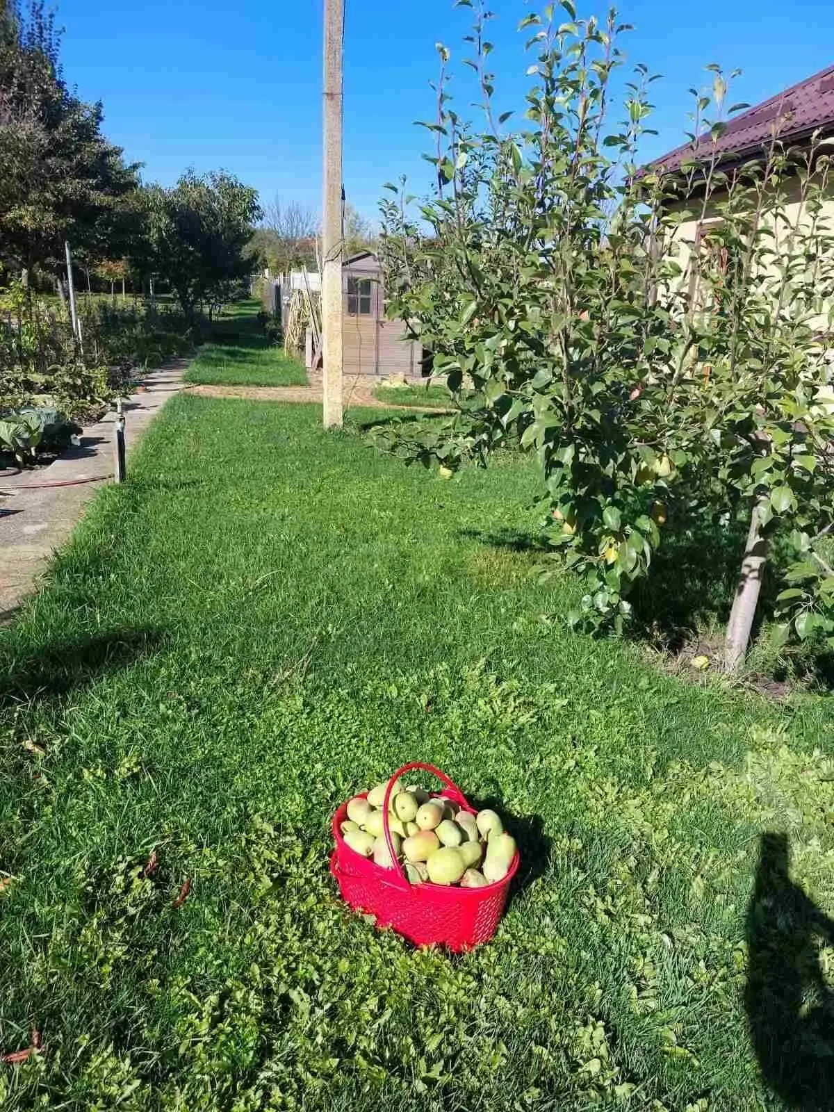 Будинок — Петрівка