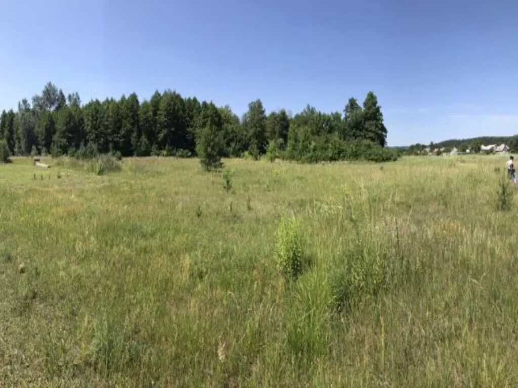 Ділянка