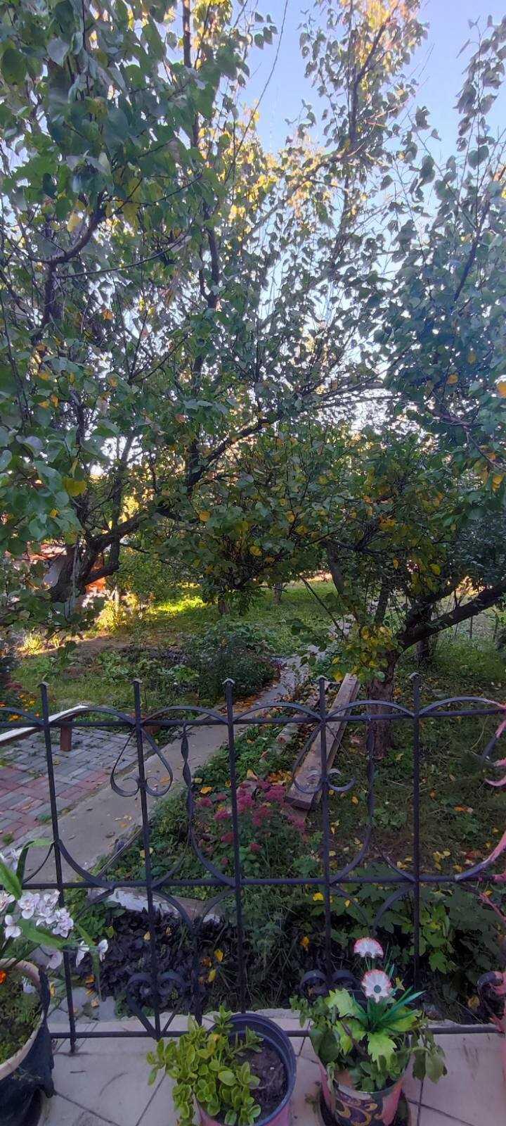 Будинок — Зигіна