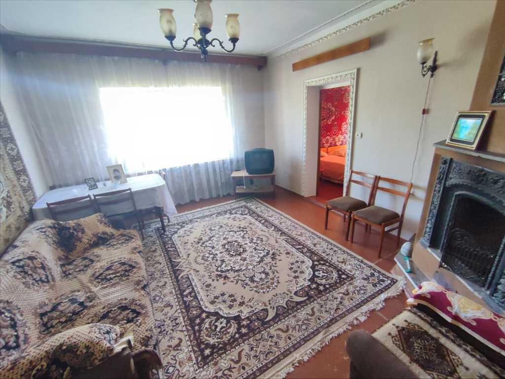 Будинок — Жуки