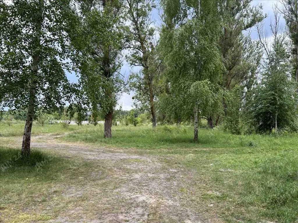 Ділянка