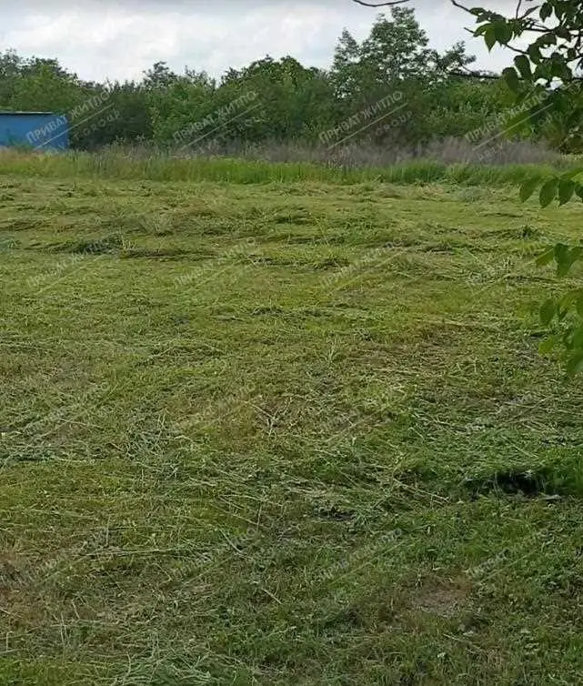 Ділянка — Шостаки