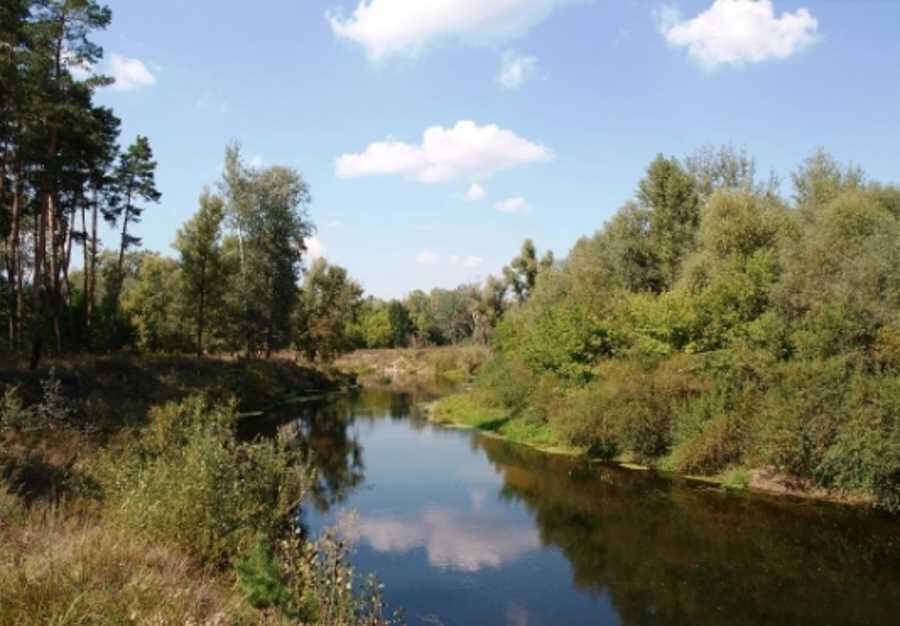 Ділянка — Нижні Млини