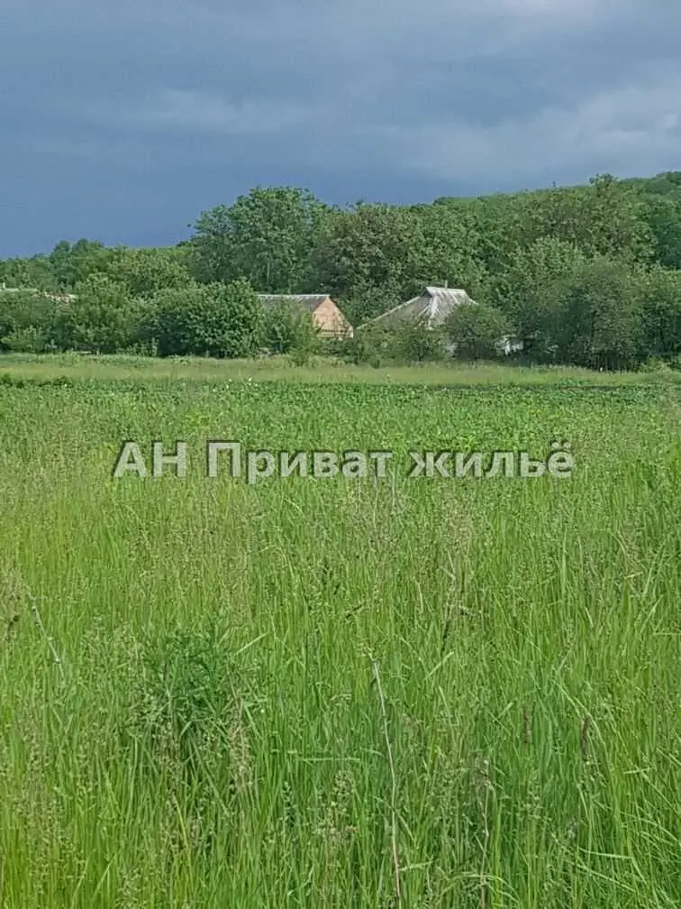 Ділянка