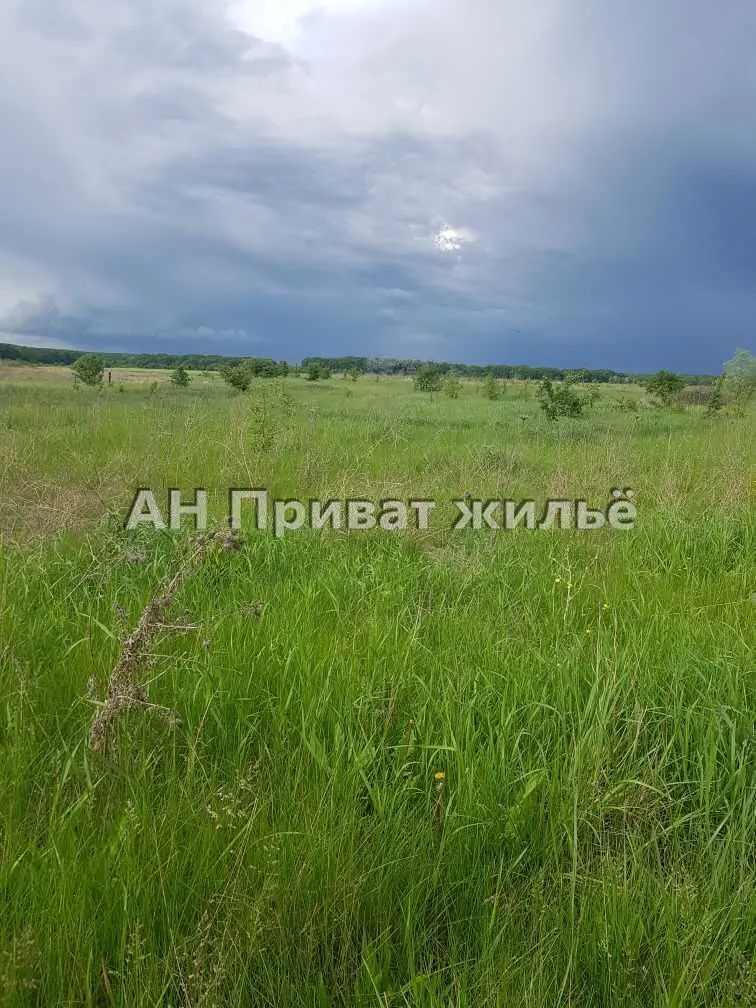 Ділянка
