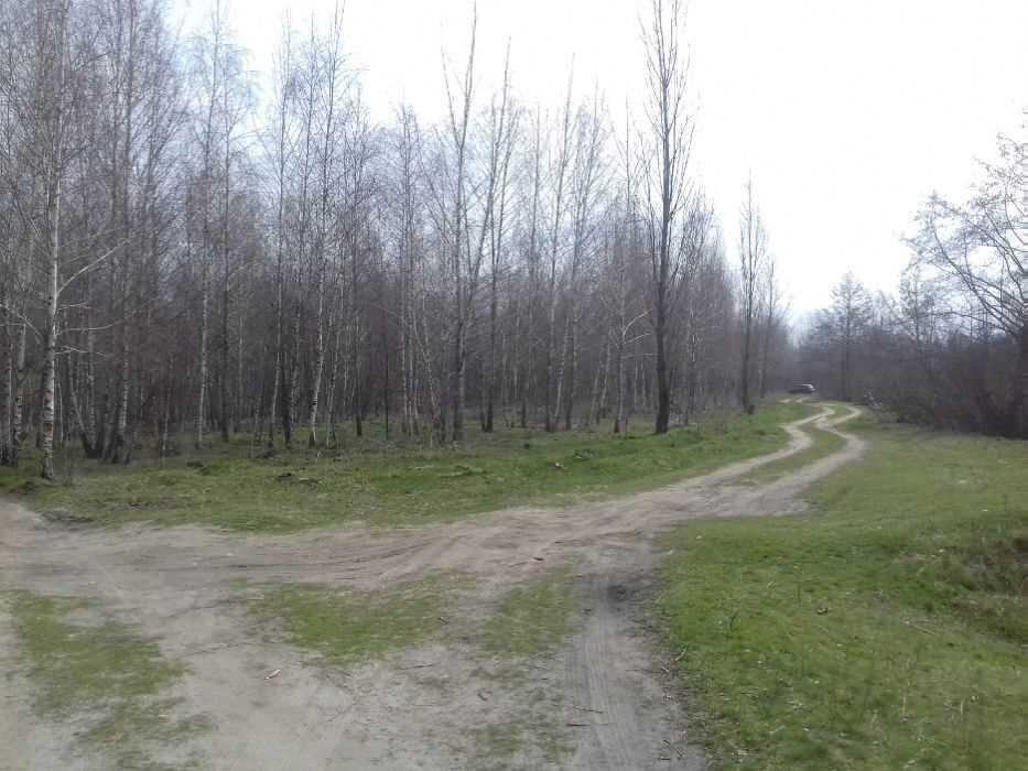 Ділянка — Терешки