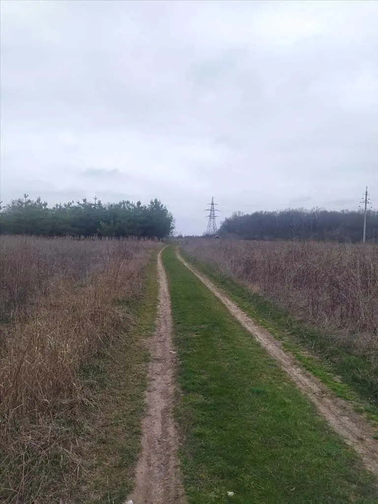 Ділянка