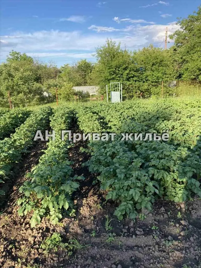 Ділянка — Івашки