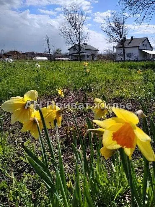 Ділянка