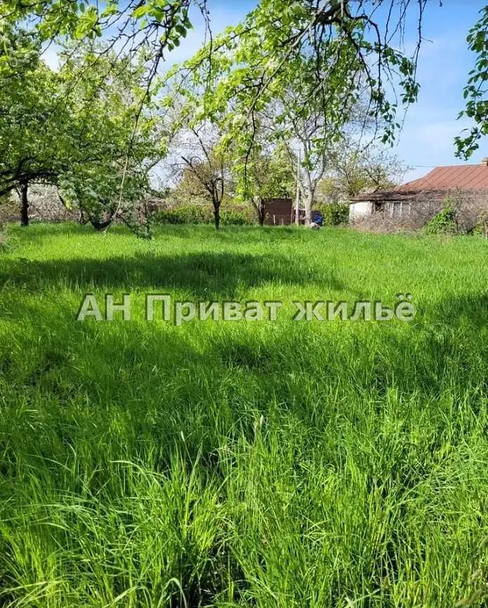 Ділянка — Супрунівка