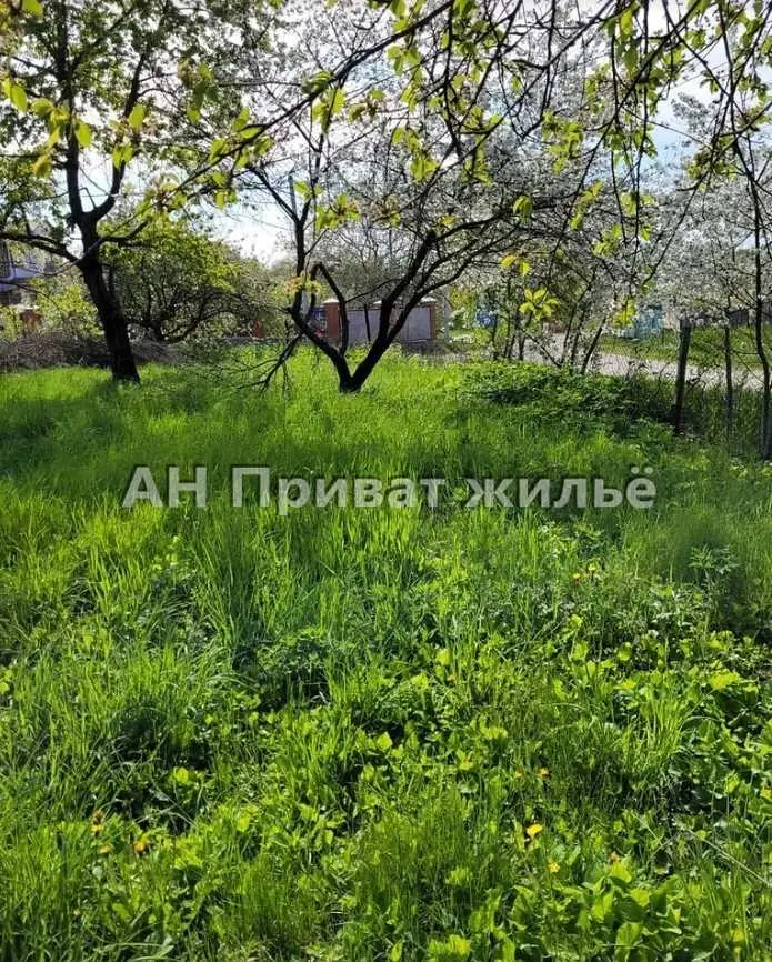 Ділянка — Супрунівка