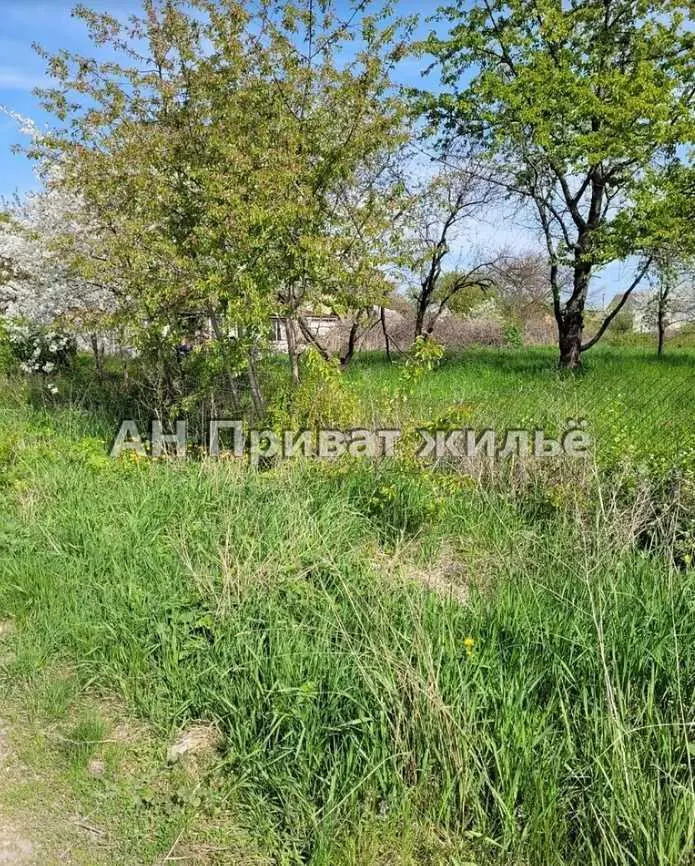 Ділянка — Супрунівка
