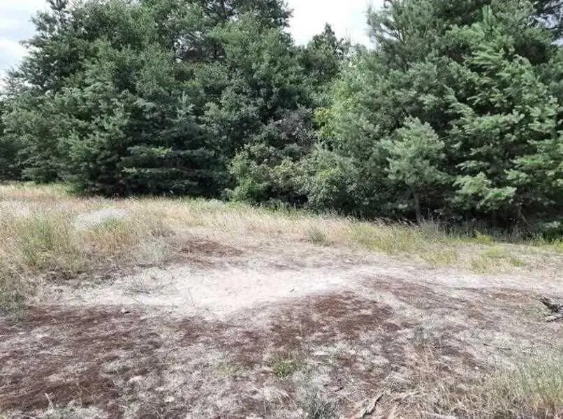 Ділянка