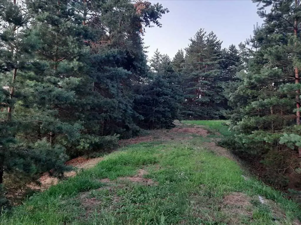 Будинок — Безручки