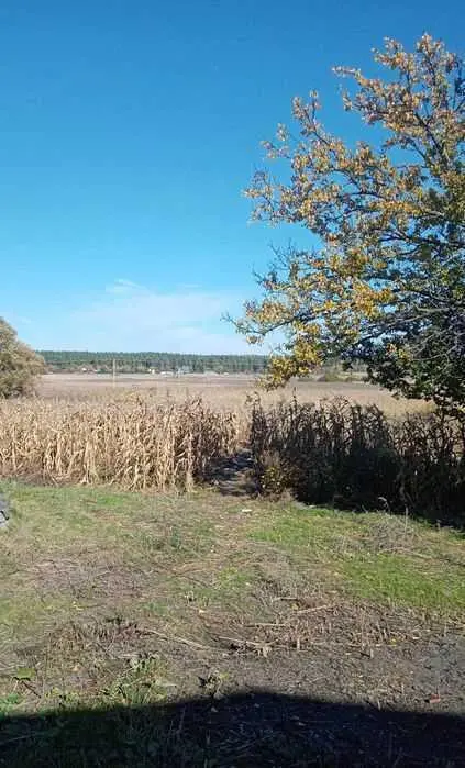 Ділянка