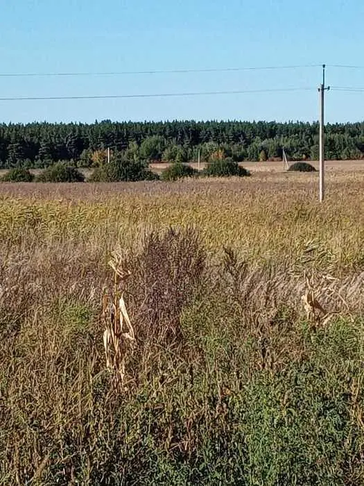Ділянка — Дудникове
