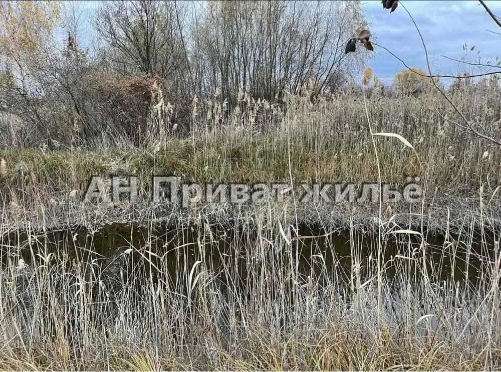 Ділянка
