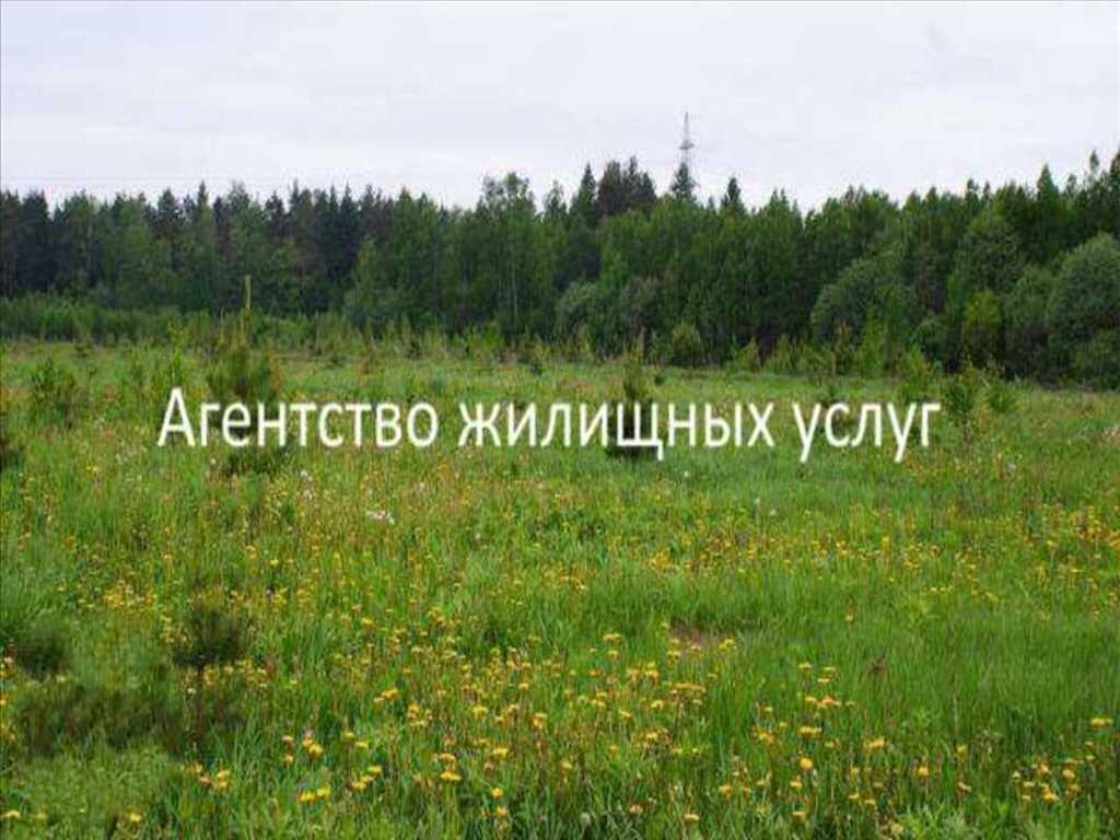 Ділянка