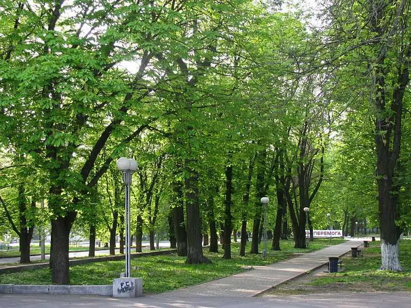 Ділянка