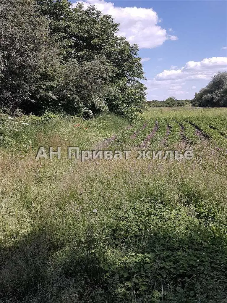 Будинок — Бричківка