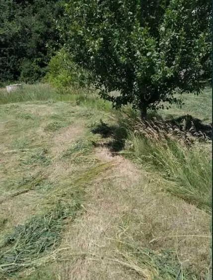 Ділянка