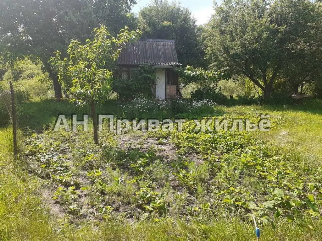 Дача