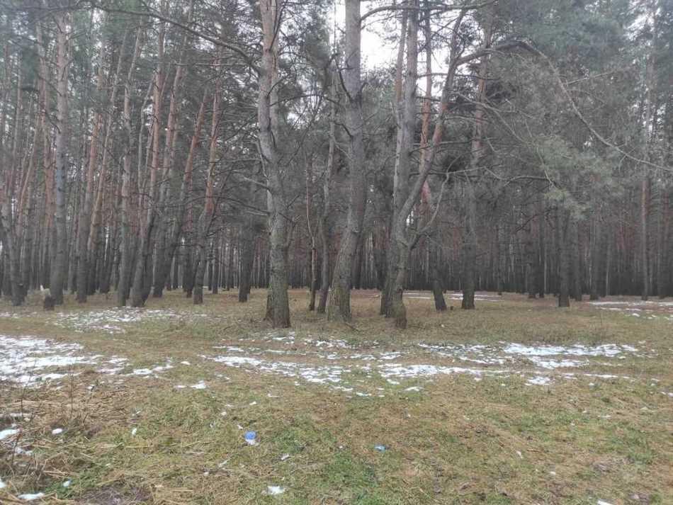 Ділянка