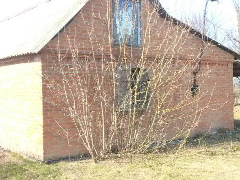 Будинок