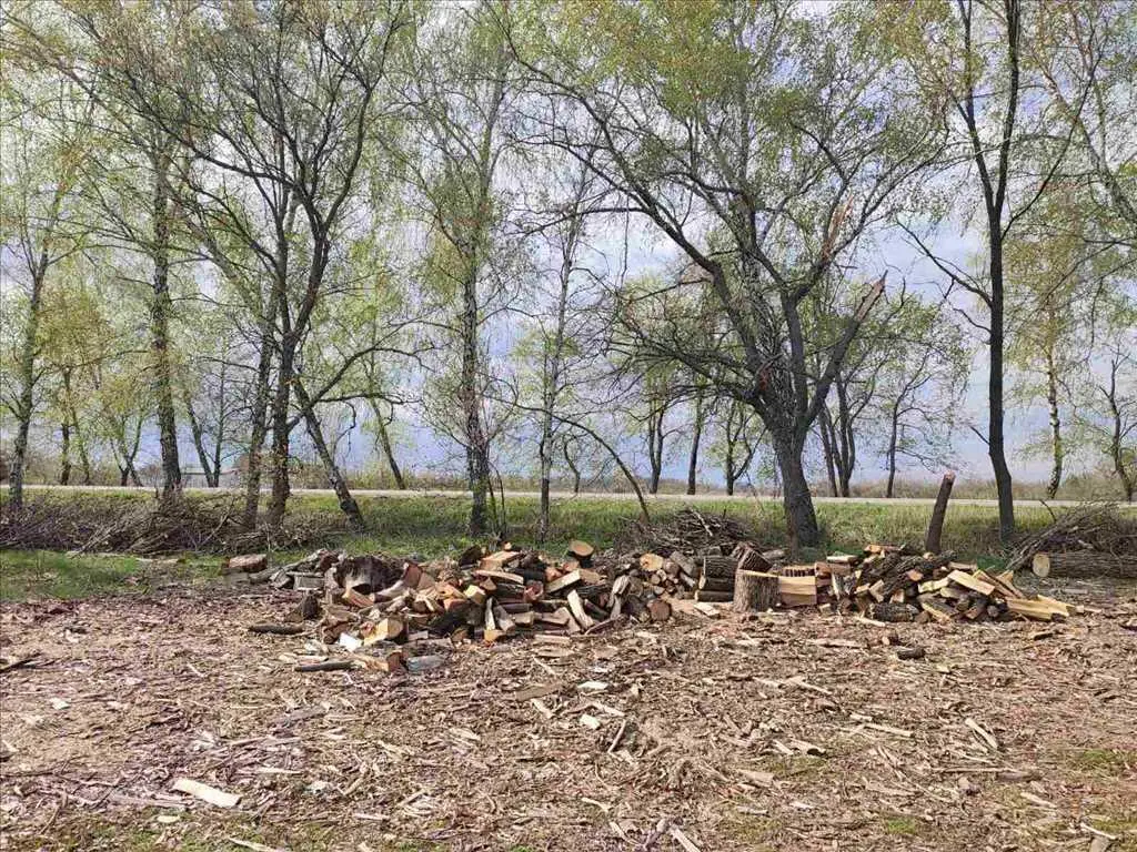 Ділянка