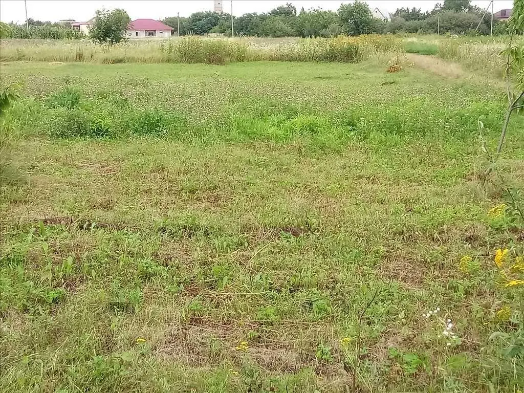Ділянка
