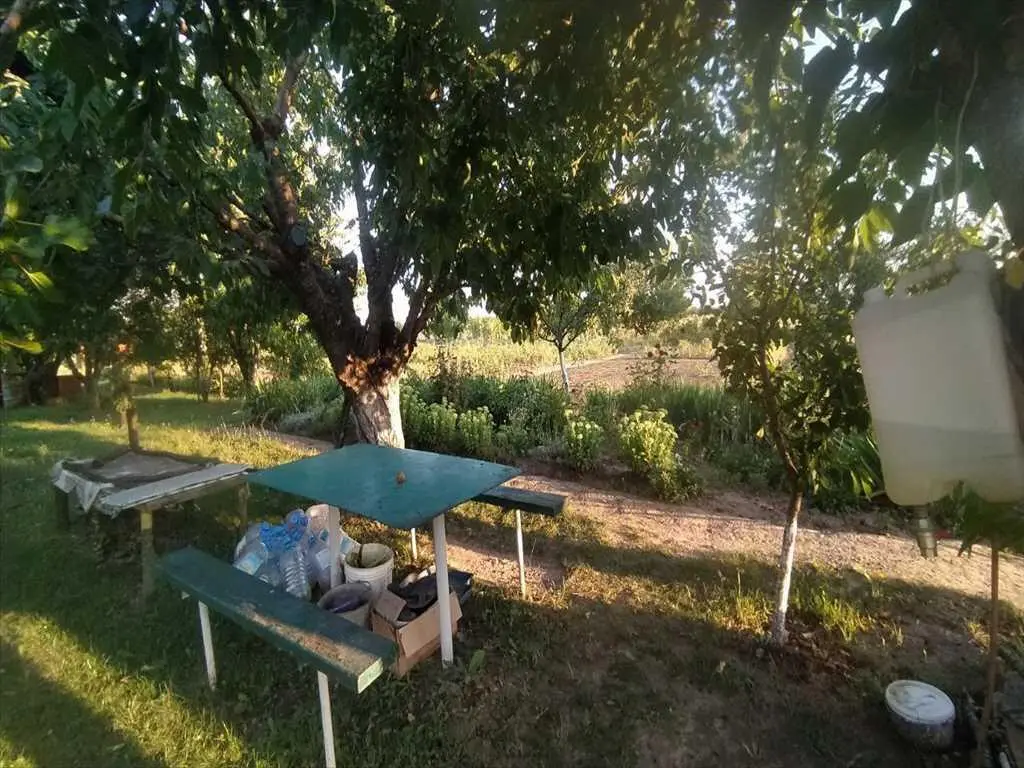 Ділянка — Шостаки