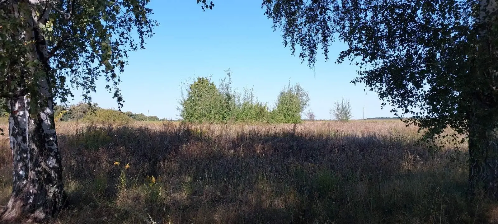 Ділянка
