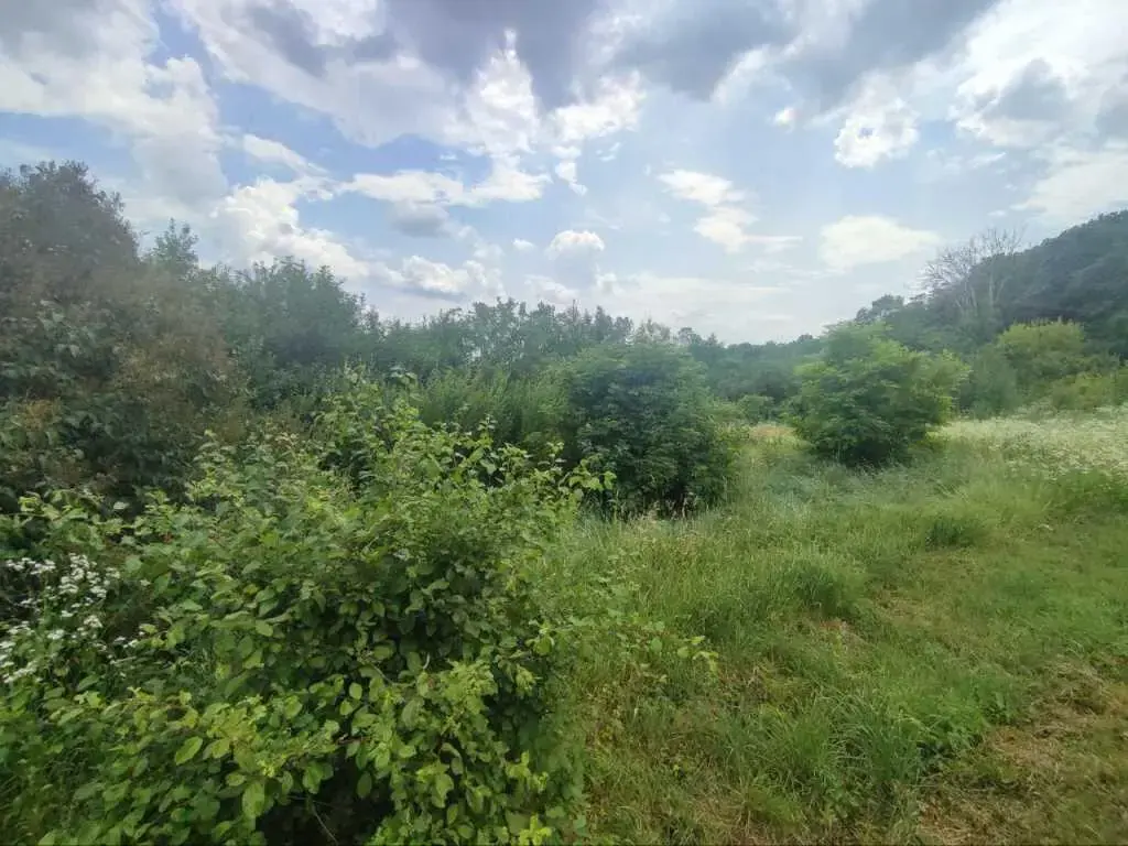 Ділянка