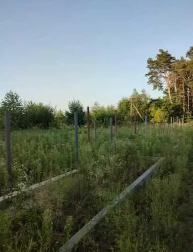 Ділянка