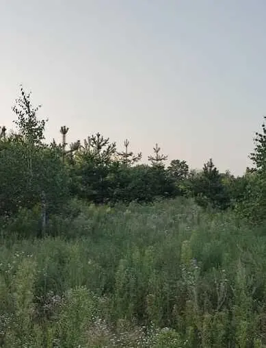 Ділянка