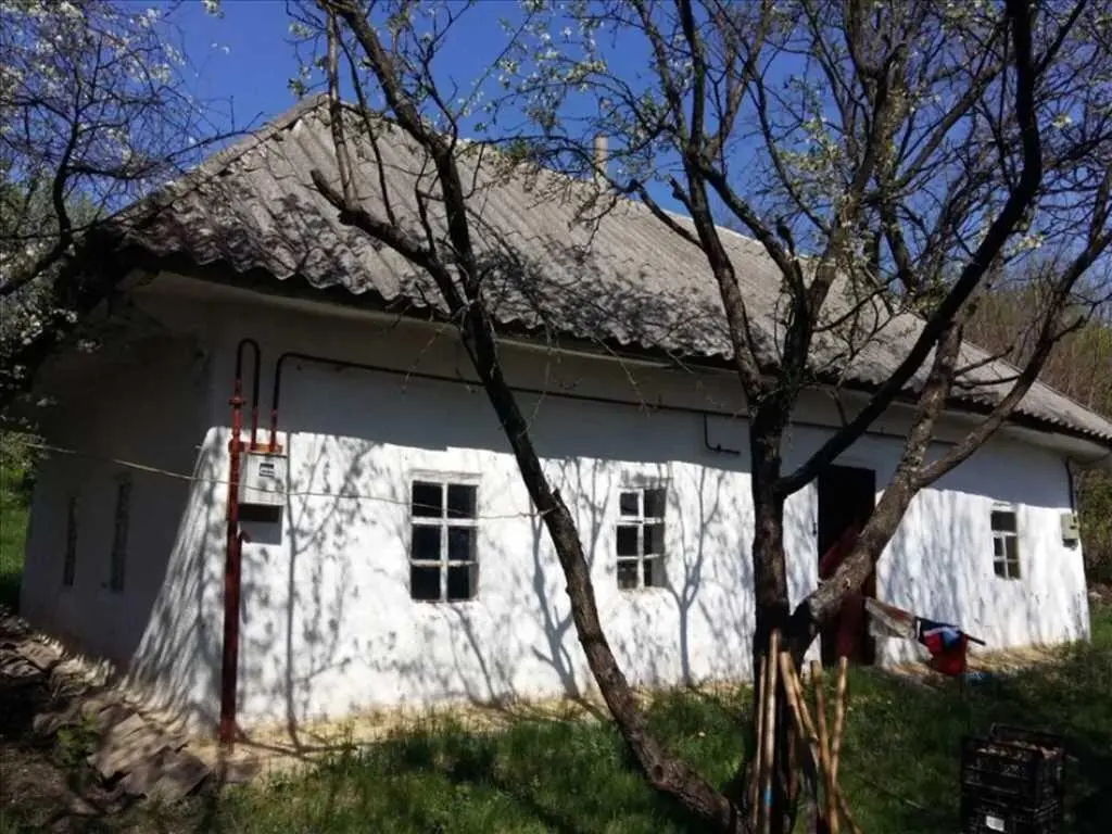 Ділянка